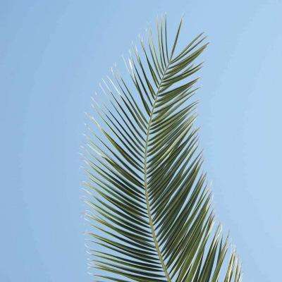 b体育官方app下载app下载