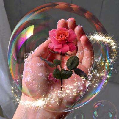 BOB彩票·(中国)平台APP下载